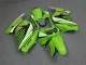 2008-2012 Kawasaki EX250 Motorcycle Fairing - Green White Black UK