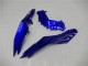 2013-2024 Kawasaki Ninja 300 EX300R Motorcycle Fairings - Blue Black White Flame UK