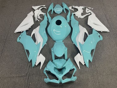 Best 2019-2022 Kawasaki ZX6R Motorcycle Fairings - White Aqua Blue UK