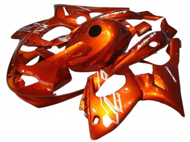 Best 1996-2007 Yamaha YZF600R Thundercat Motorcycle Fairings - Burnt Orange UK