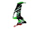 2008-2010 Kawasaki ZX10R Motorcycle Fairings - Green White Red Black Monster Elf 66 UK