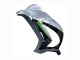 2016-2020 Kawasaki ZX10R Motorcycle Fairing - Silver Green Black UK