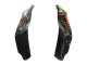 2021-2025 Kawasaki ZX10R Motorcycle Fairings - Green Black Red UK