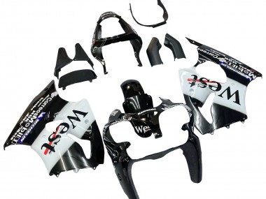 Best 2000-2002 Kawasaki ZX6R Motorcycle Fairings - Glossy Black White West Michelin UK