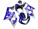 2000-2002 Suzuki GSXR1000 Motorcycle Fairings - Blue White Silver Castrol Dunlop UK