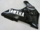2000-2001 Yamaha YZF 1000 R1 Motorcycle Fairings - Glossy Black White Decal UK