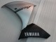 2009-2011 Yamaha YZF 1000 R1 Motorcycle Fairing - Silver Black UK