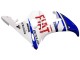 2005 Yamaha YZF 600 R6 Motorcycle Fairings - White Blue Dunlop Fiat Motul UK
