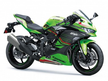 Best 2019-2025 Kawasaki ZX4R ZX-4RR Motorcycle Fairings - Green Black Red White UK