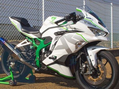 Best 2019-2025 Kawasaki ZX4R ZX-4RR Motorcycle Fairings - White Silver Green UK