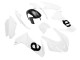 2020-2024 Aprilia RS660 Motorcycle Fairing - White UK